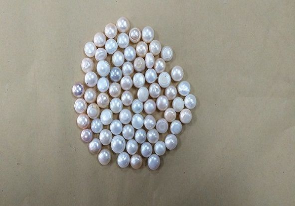 中药饮片